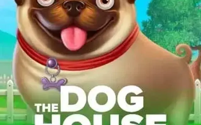 The Dog House